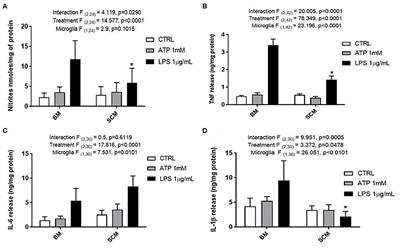 Inflammatory Cytokine Profile and Plasticity of Brain and Spinal Microglia in Response to ATP and Glutamate